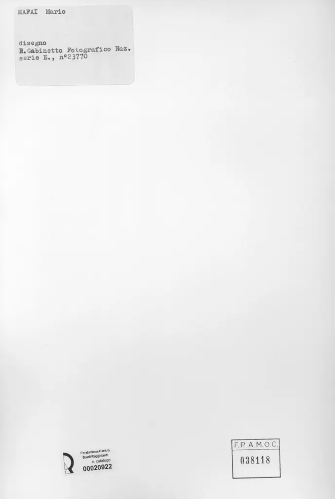 Istituto Centrale per il Catalogo e la Documentazione: Fototeca Nazionale , retro