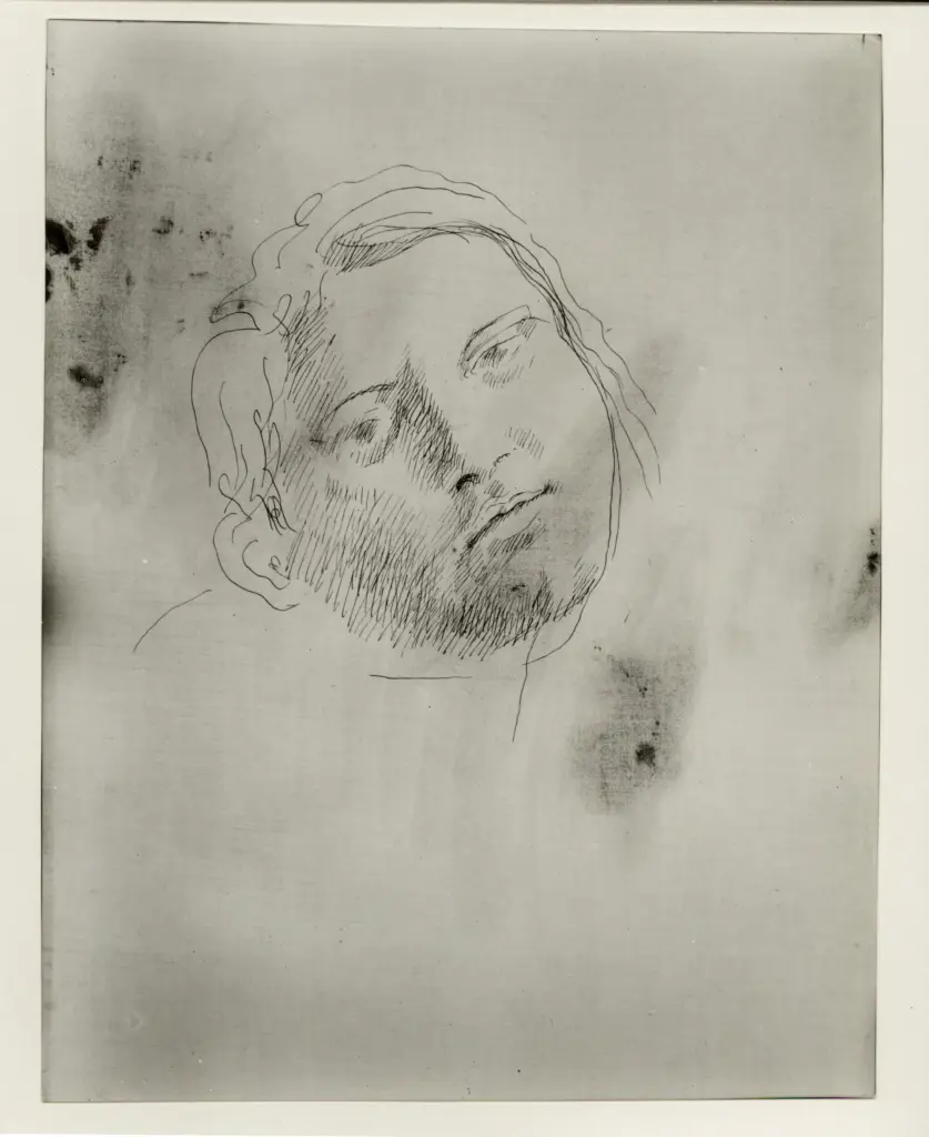 Istituto Centrale per il Catalogo e la Documentazione: Fototeca Nazionale , fronte