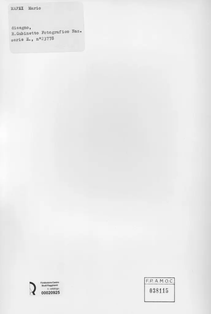 Istituto Centrale per il Catalogo e la Documentazione: Fototeca Nazionale , retro