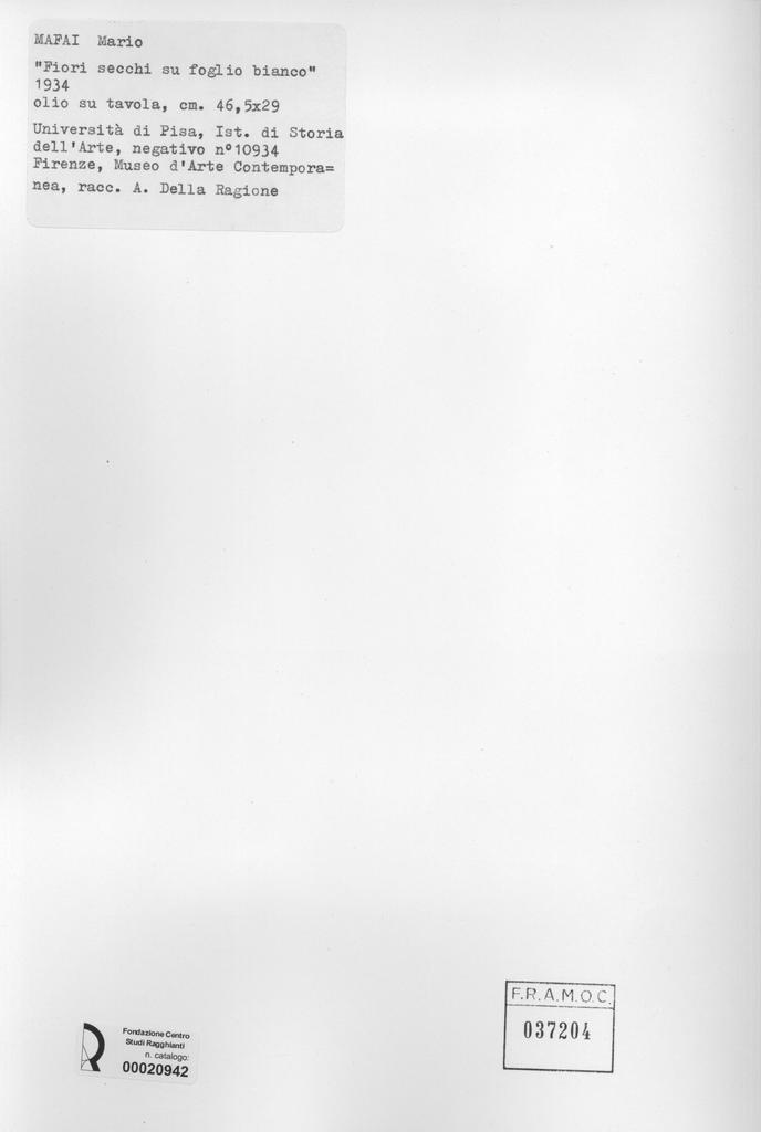 Università di Pisa. Dipartimento di Storia delle Arti  , Mafai, Mario - sec. XX - Fiori secchi su foglio bianco , retro