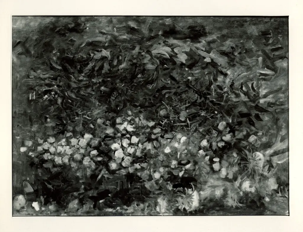 Fotografia Ferruzzi , fronte