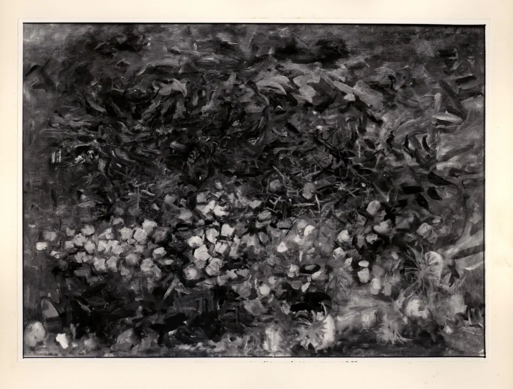 Fotografia Ferruzzi , fronte