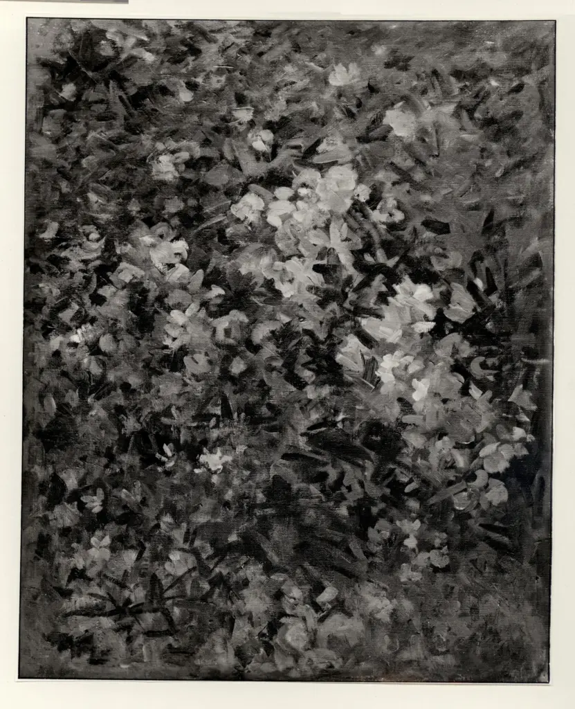 Fotografia Ferruzzi , fronte