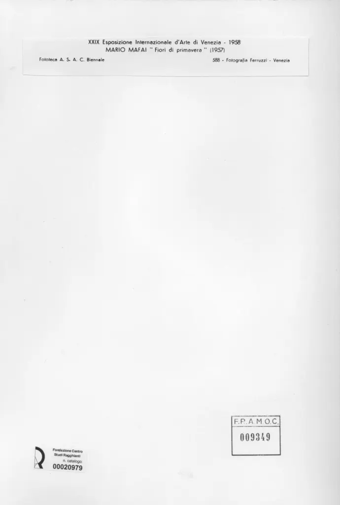 Fotografia Ferruzzi , retro