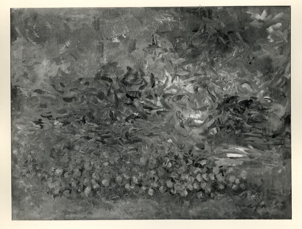 Fotografia Ferruzzi , fronte