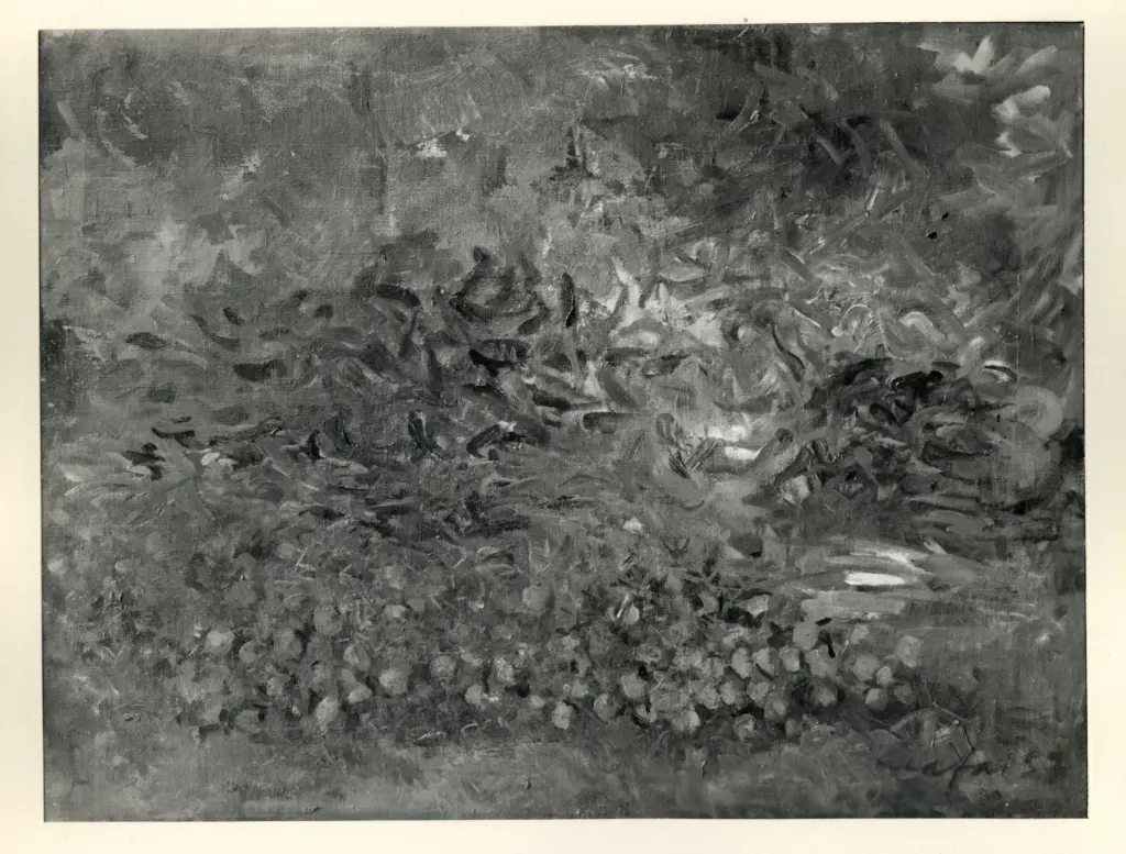 Fotografia Ferruzzi , fronte