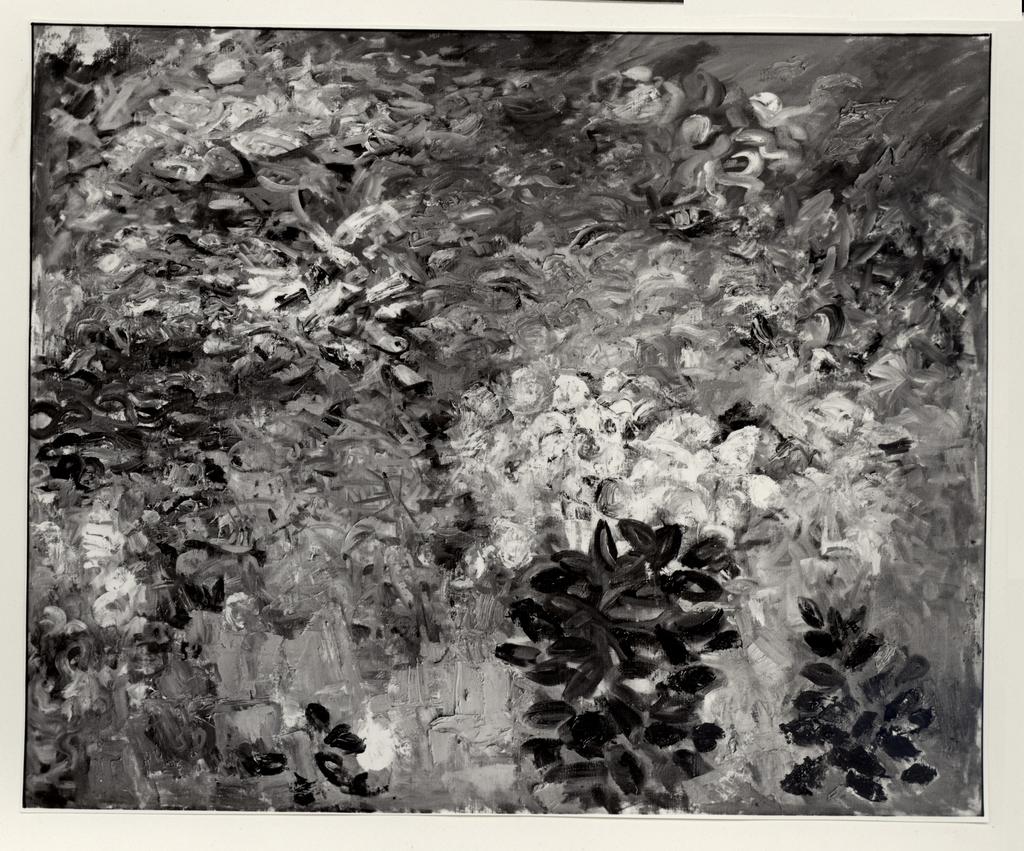 Fotografia Ferruzzi , fronte