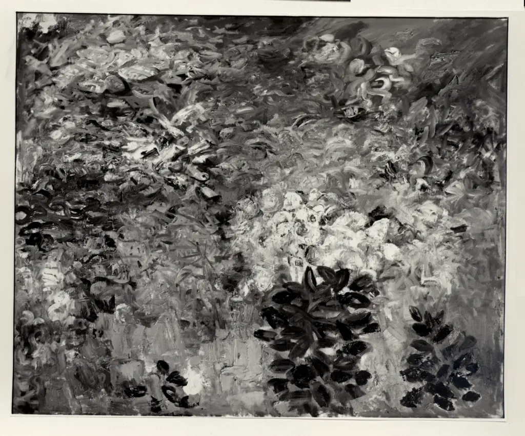 Fotografia Ferruzzi , fronte