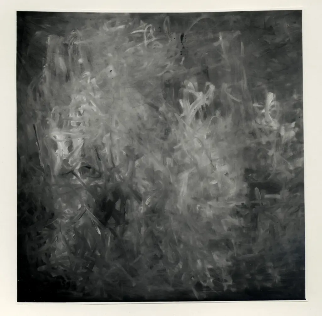 De Don&agrave; Colorphotos , s.v.