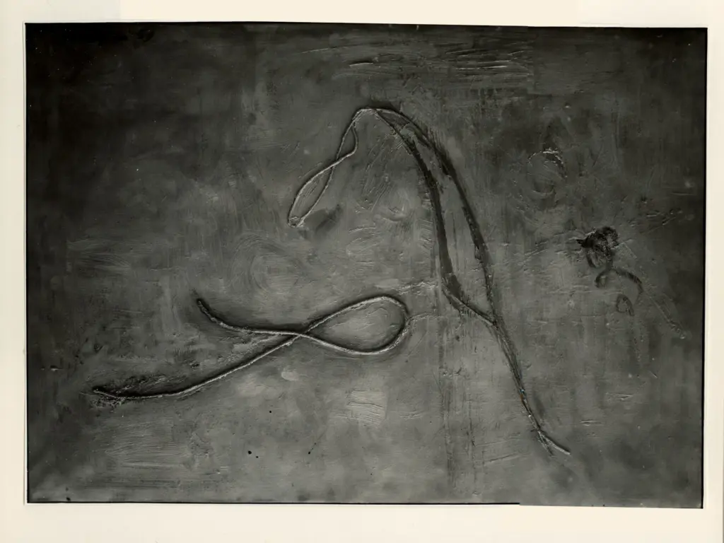 De Don&agrave; Colorphotos , s.v.