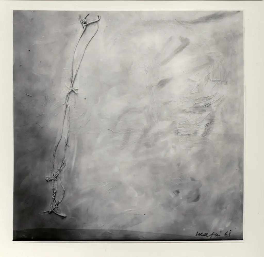 De Don&agrave; Colorphotos , s.v.