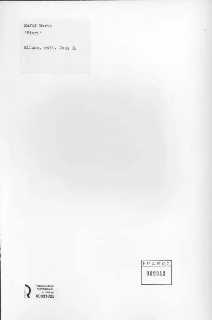 Anonimo , Mafai, Mario - sec. XX - Fiori , retro