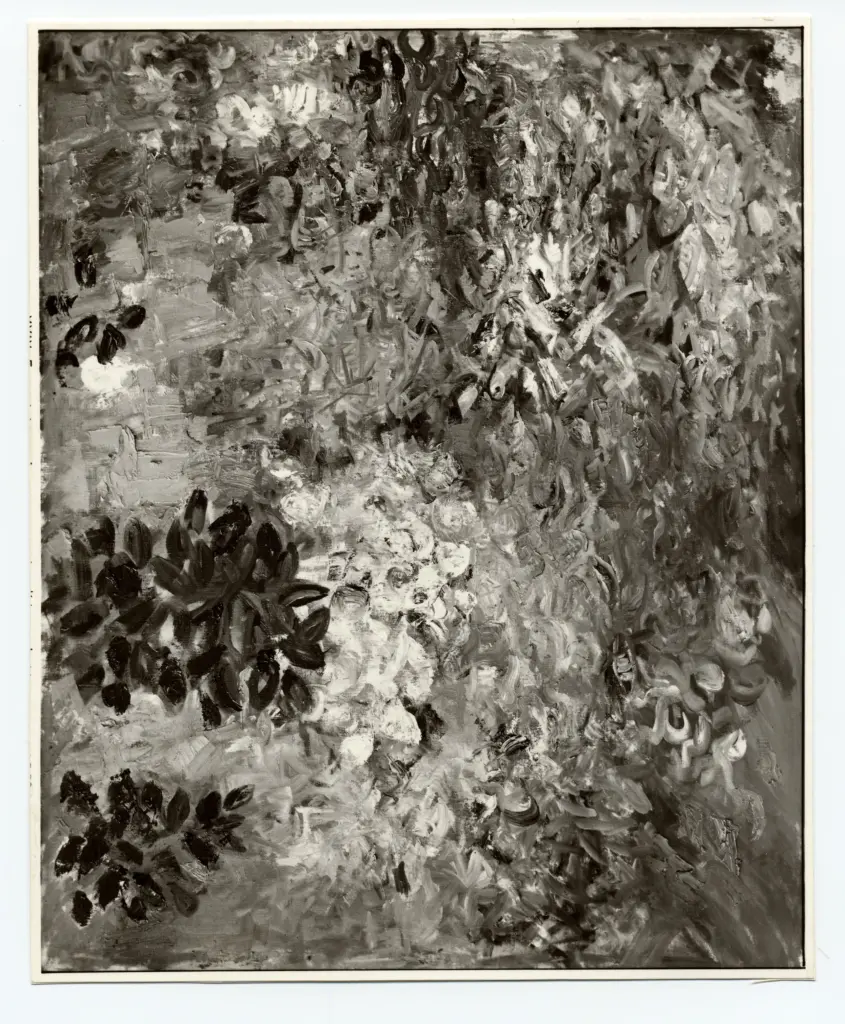 Fotografia Ferruzzi , fronte