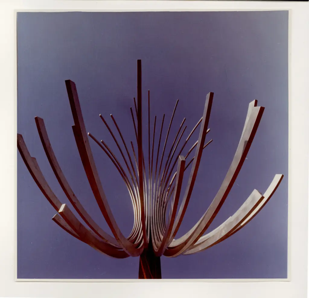 Vaghi, Luigi , fronte