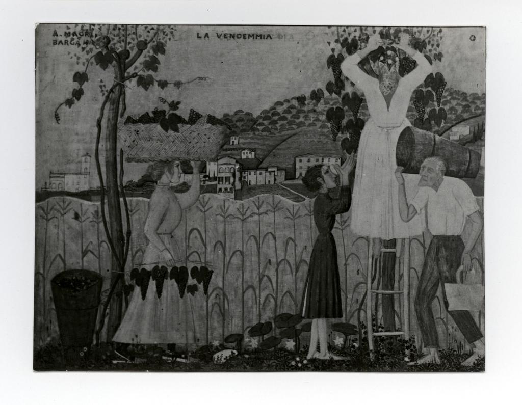 Anonimo , Magri, Alberto - sec. XX - La vendemmia (particolare) , fronte