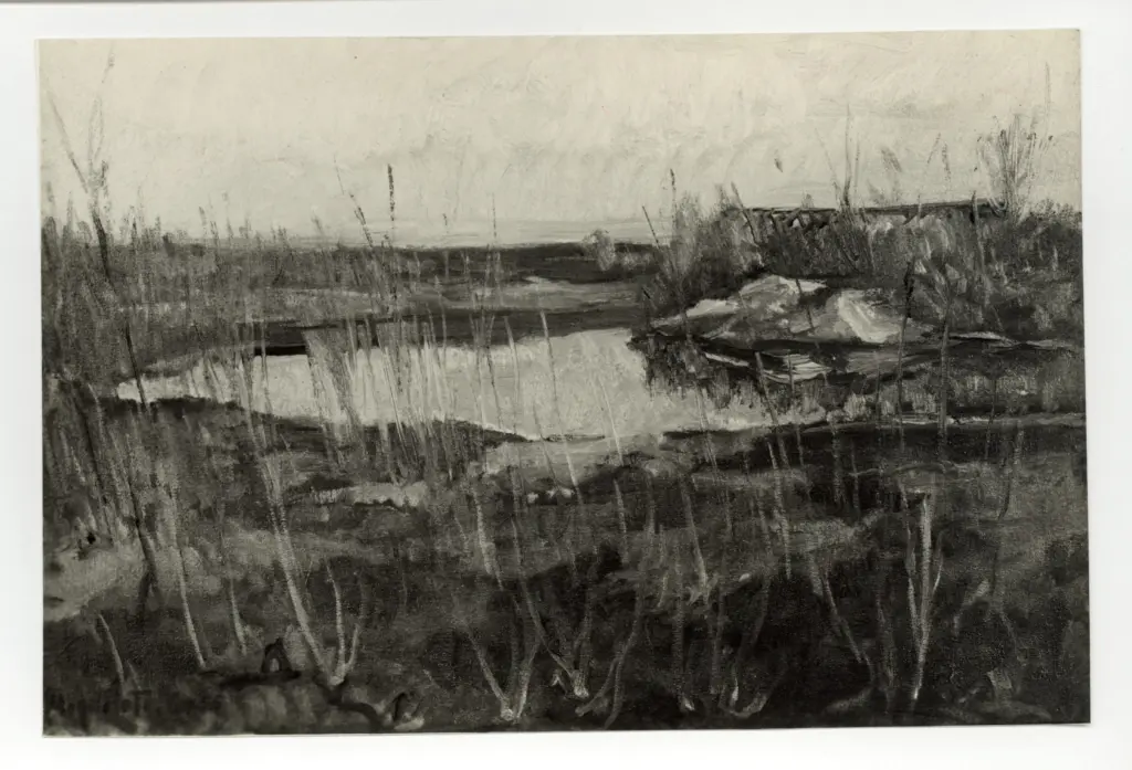 Magnolato, Francesco , Il piave -