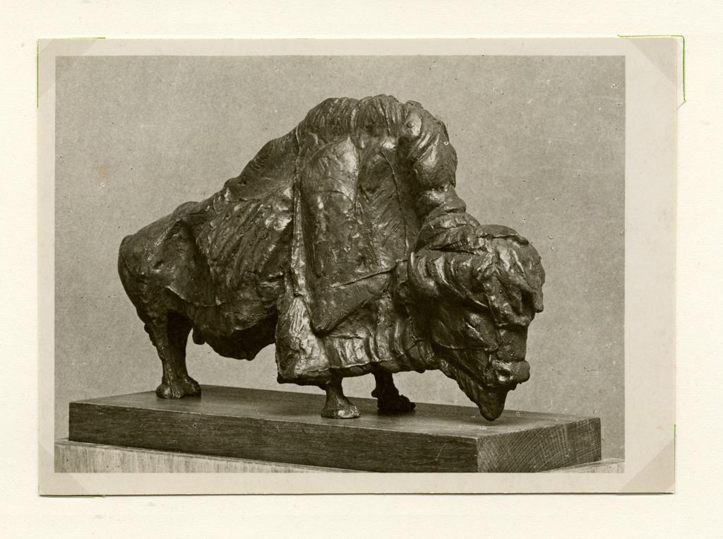 Anonimo , fronte