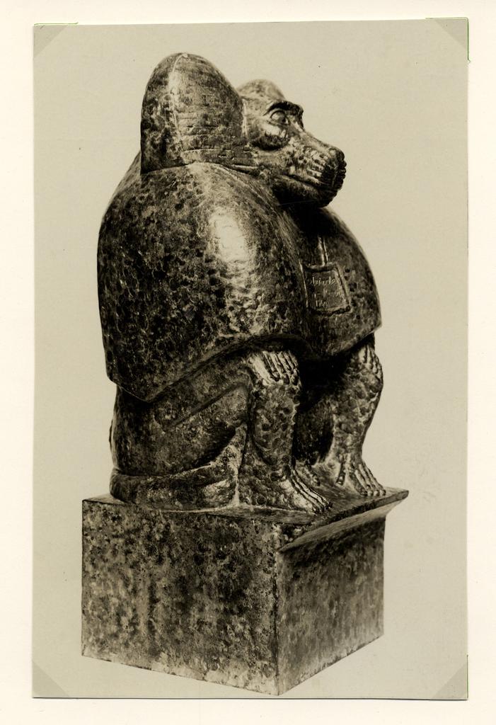 Anonimo , fronte