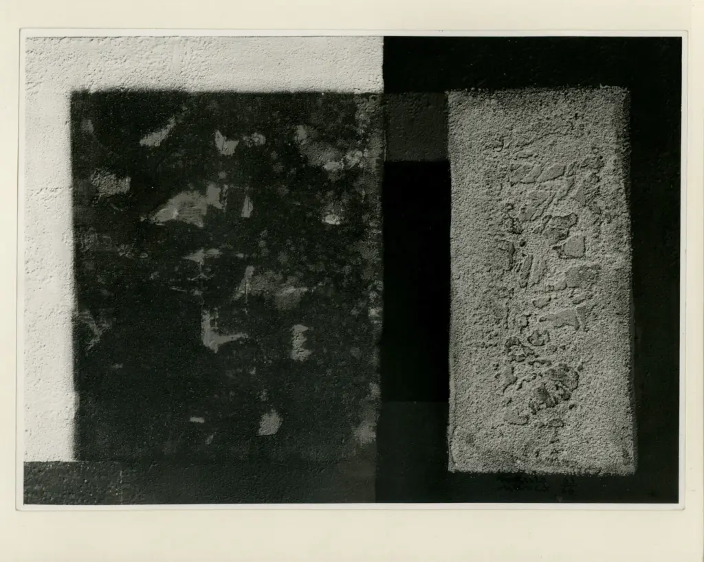 Foto Barsotti , fronte