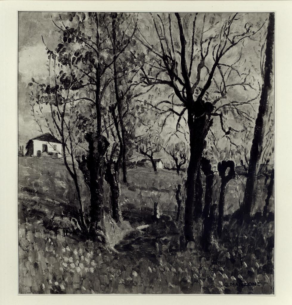 Giacomelli , fronte