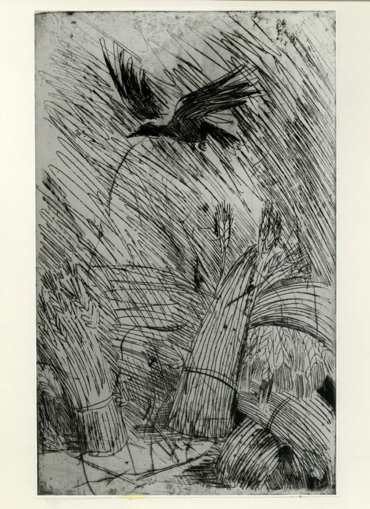 Savio, Oscar , fronte