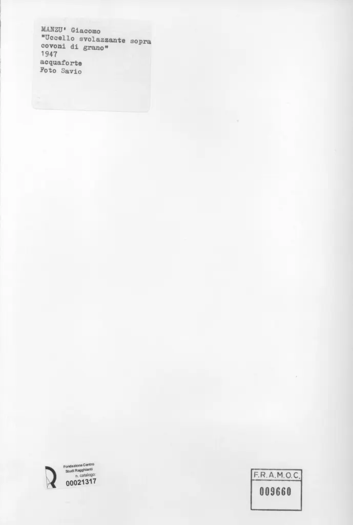 Savio, Oscar , retro