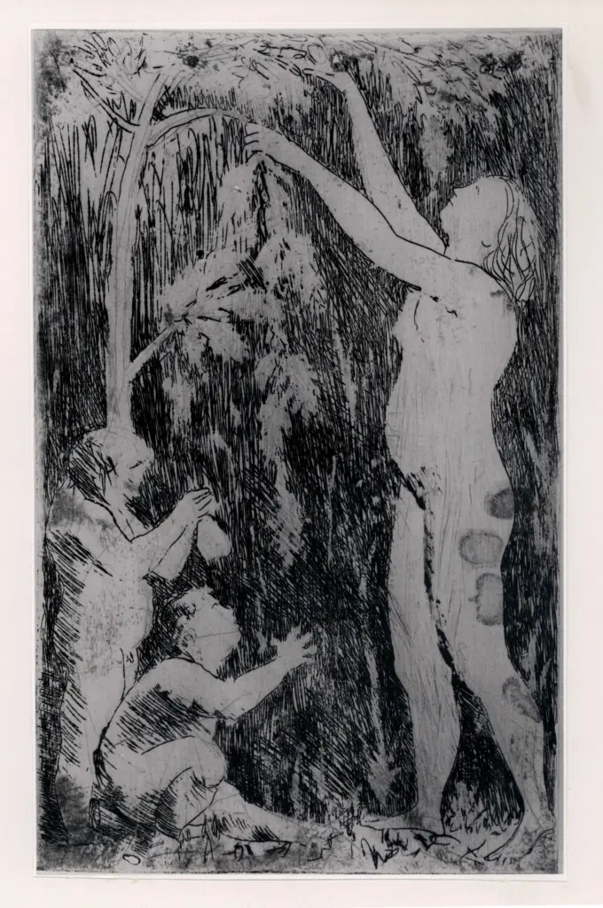 Savio, Oscar , fronte