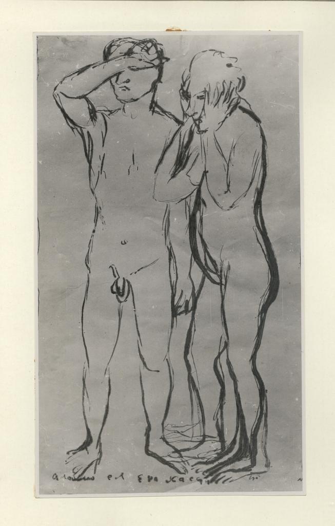 fronte