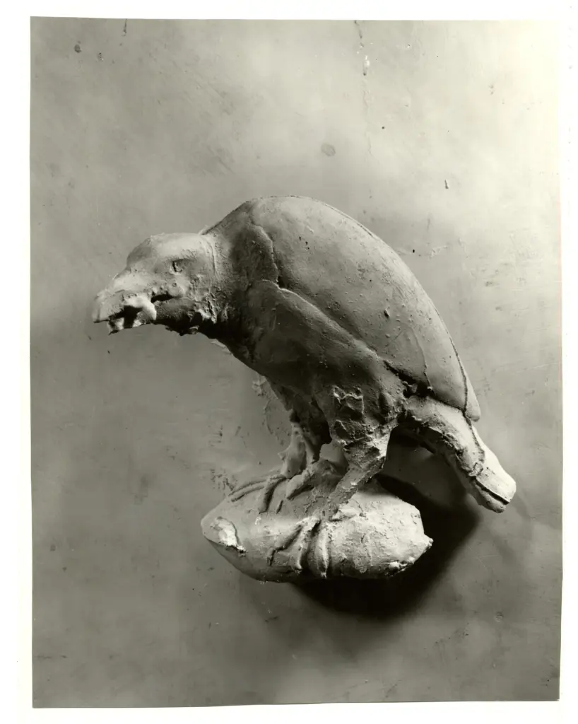 Cartoni, A. , fronte