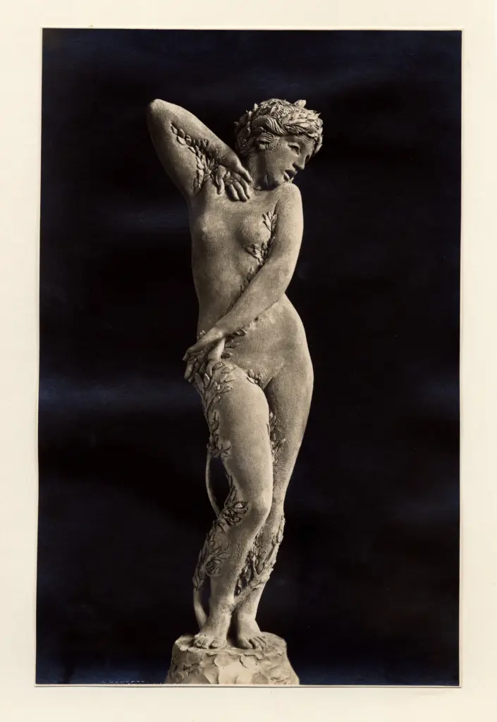 Anonimo , Maraini, Antonio - sec. XX - Dafne , fronte