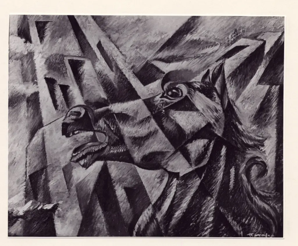 Anonimo, Anonimo , fronte