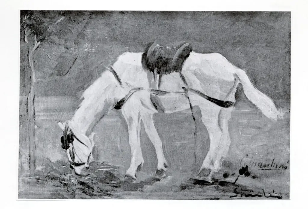 Marchini, Giovanni , Il cavallino bianco