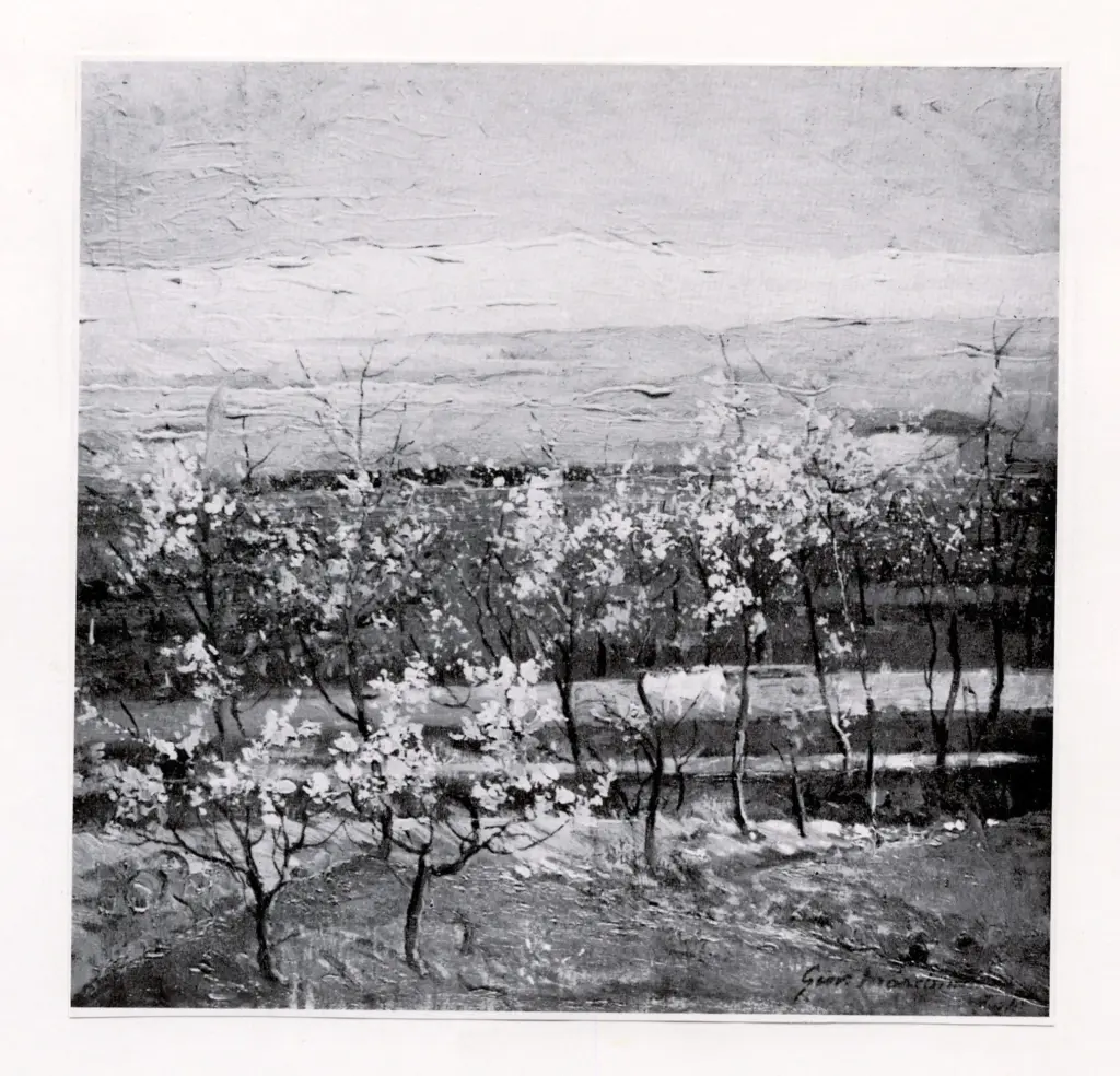 Anonimo , Marchini, Giovanni - sec. XX - Primavera , fronte