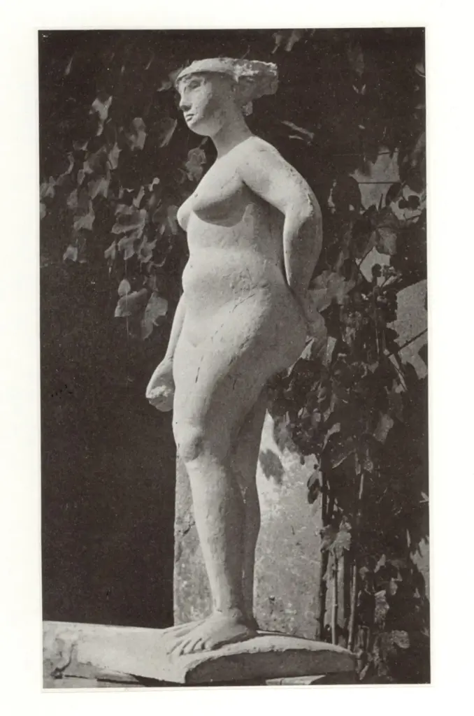 Anonimo, Anonimo , fronte