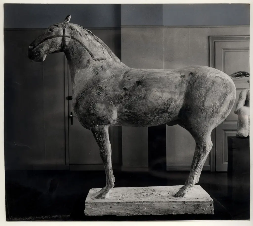 Pancaldi , Marini, Marino - sec. XX - Cavallo , fronte