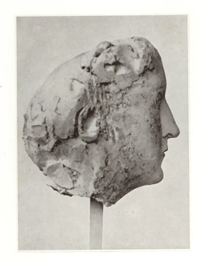 Anonimo, Anonimo , fronte