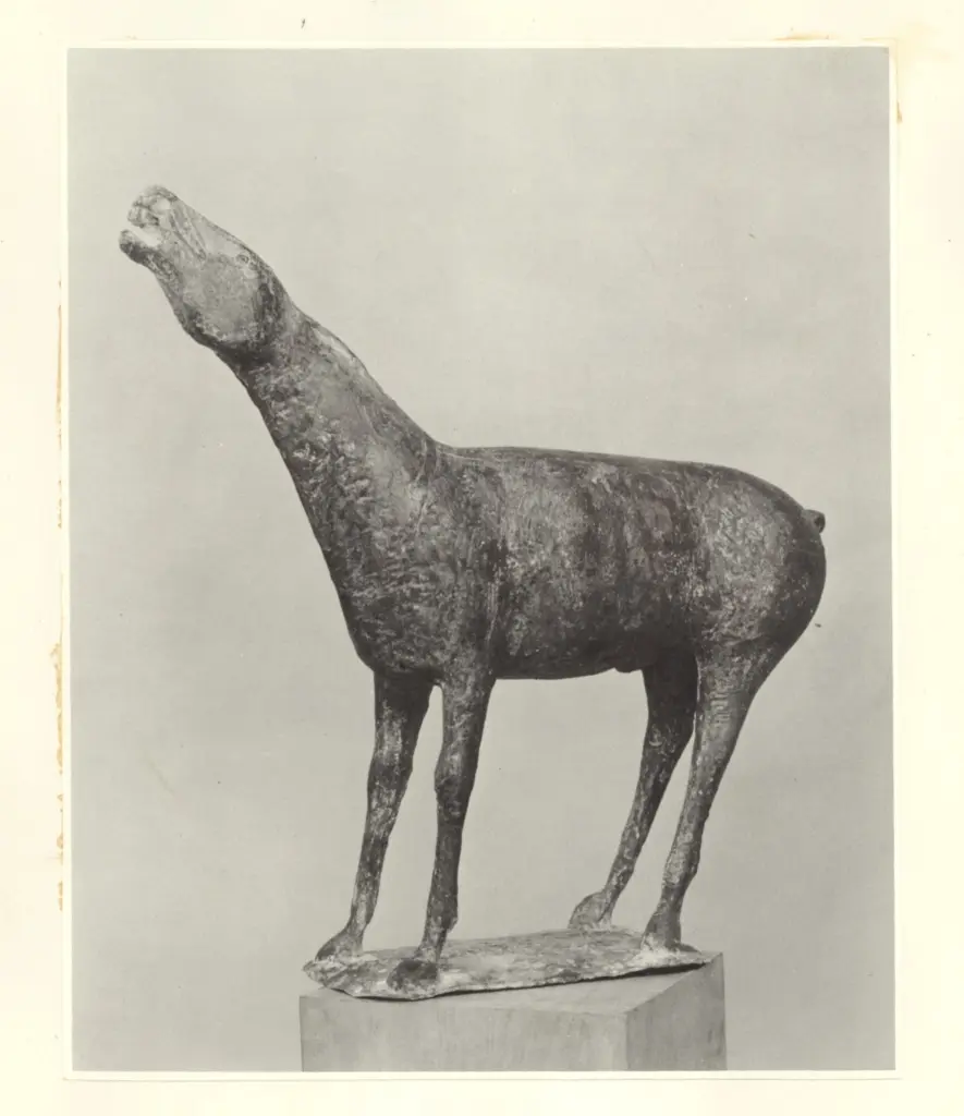 Anonimo, Anonimo , fronte