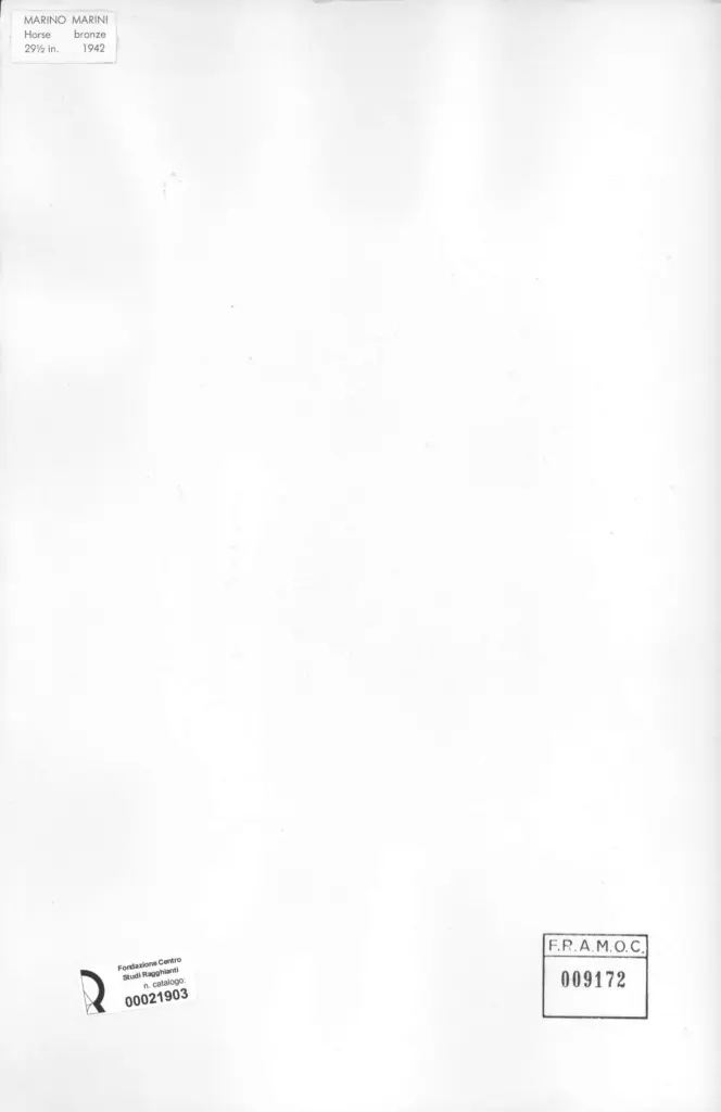 Anonimo, Anonimo , retro