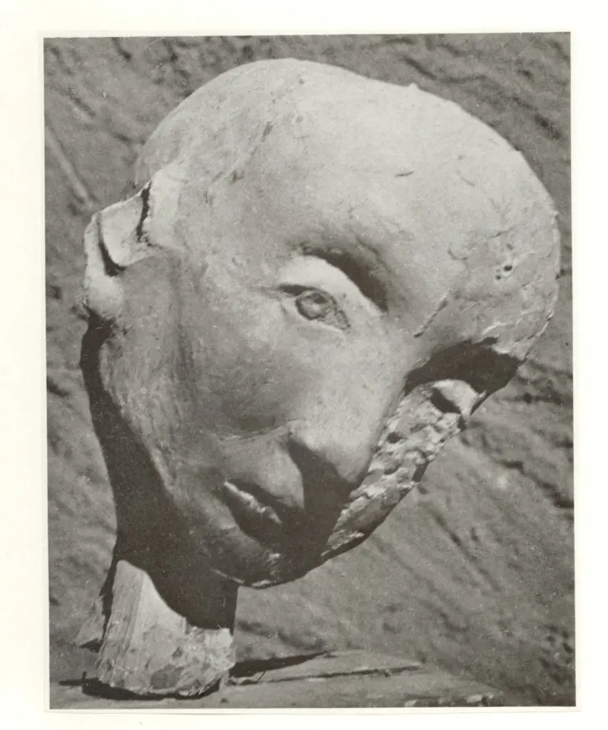 Anonimo, Anonimo , fronte