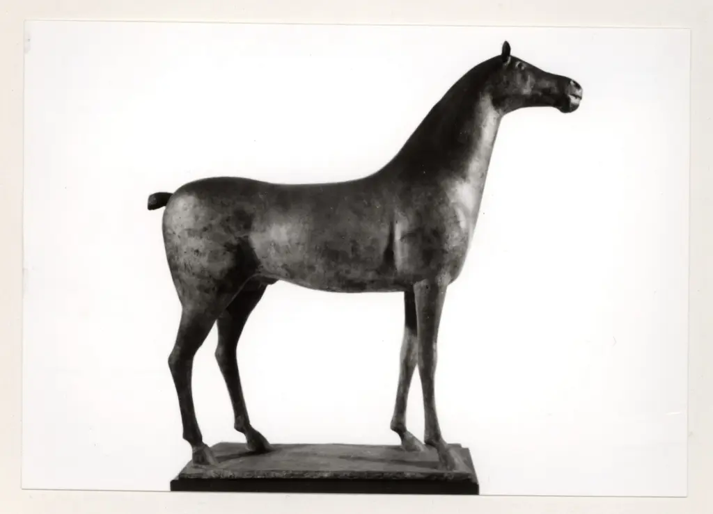 Anonimo , Marini, Marino - sec. XX