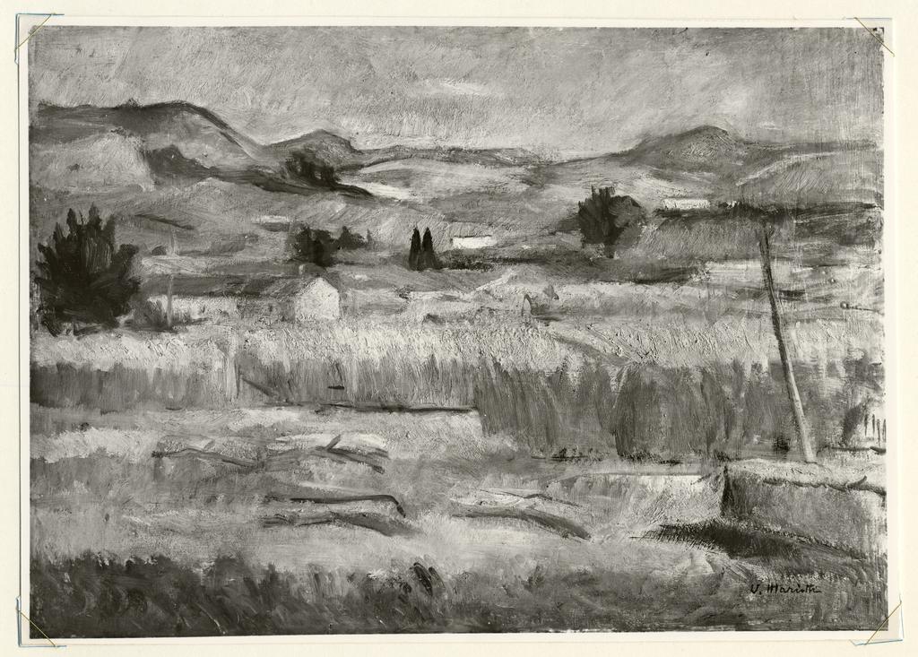 Anonimo , fronte