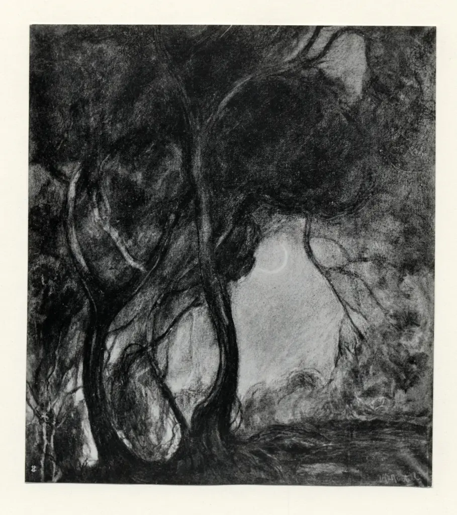 Anonimo, Anonimo , fronte