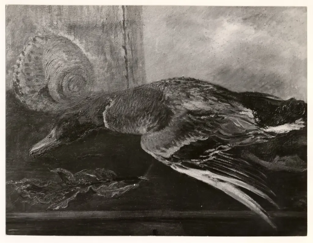 Anonimo, Anonimo , fronte