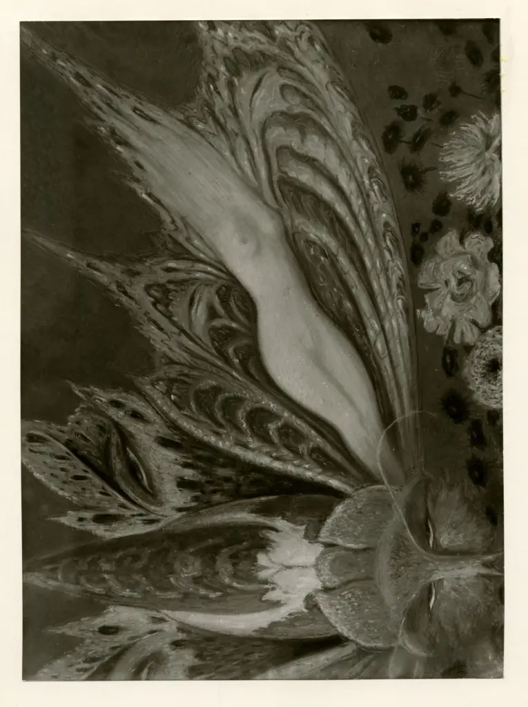 Anonimo, Anonimo , fronte