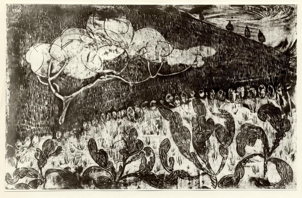 Giacomelli , fronte