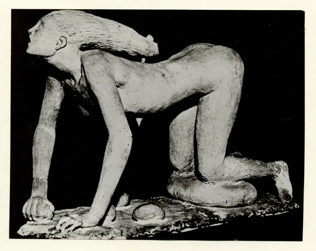 Anonimo, Anonimo , fronte