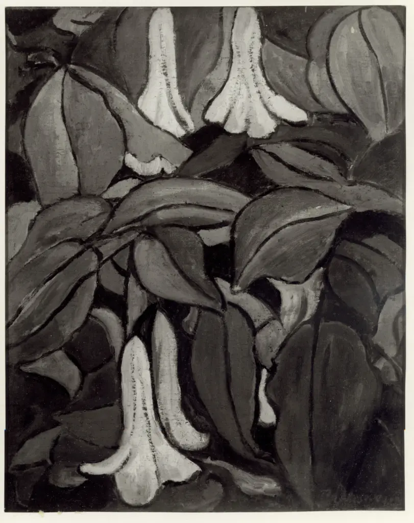 Sinigaglia, Gian , fronte