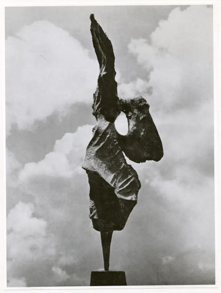 Anonimo, Anonimo , fronte