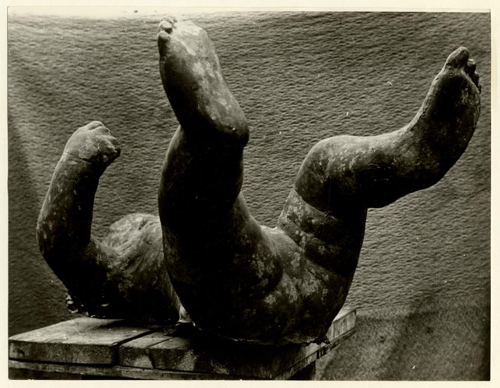 Anonimo , fronte