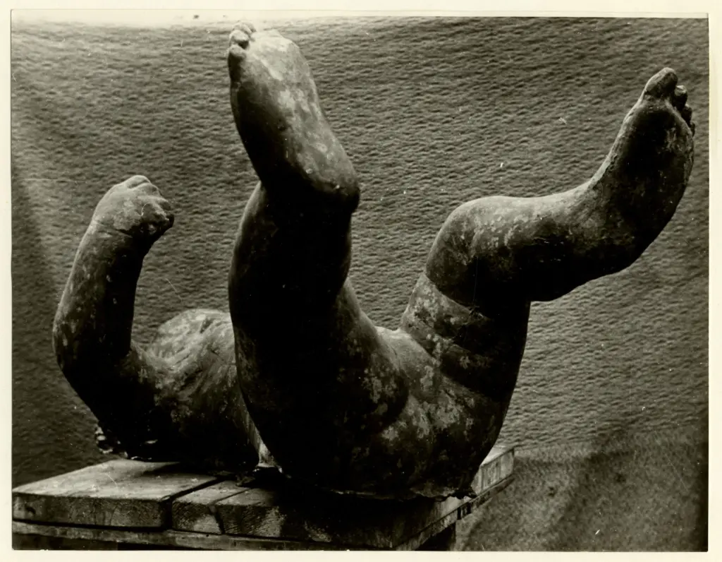 Anonimo, Anonimo , fronte